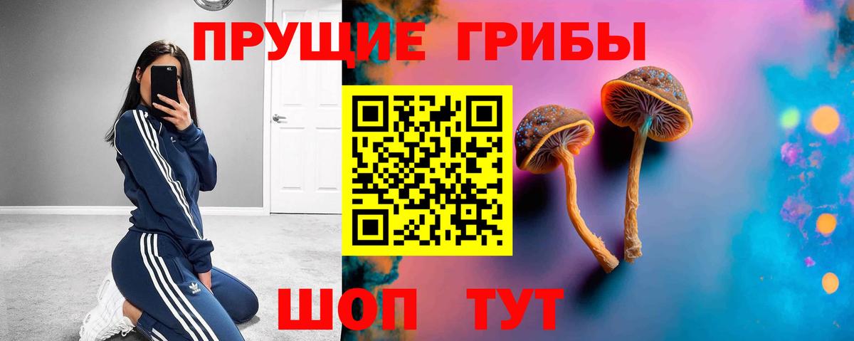 Саянск  купить   Вход с VPN  Галлюциногенные грибы GOLDEN TEACHER  Галлюциногенные грибы Magic Shrooms 