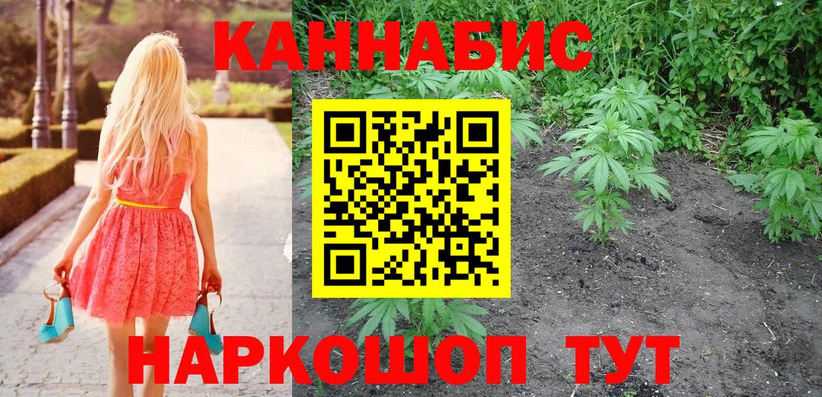 Конопля индика Саянск